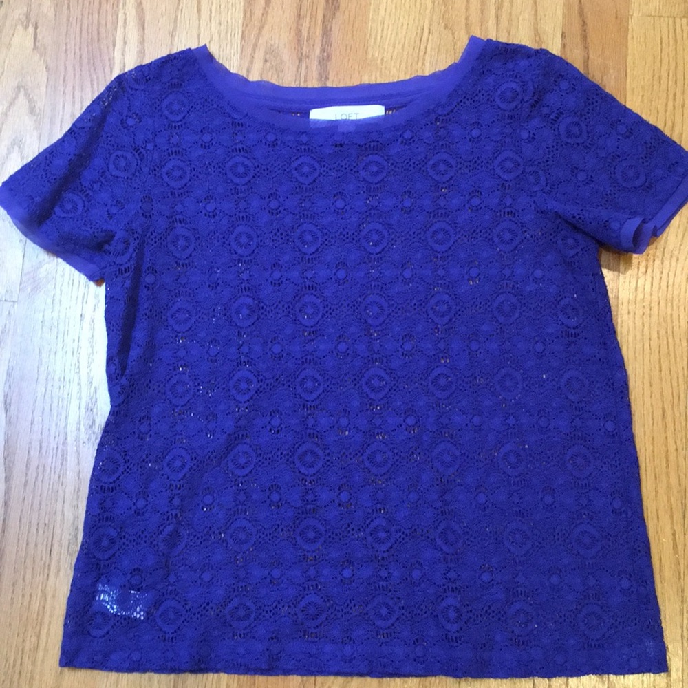 LOFT Royal Blue Lace Top — XS